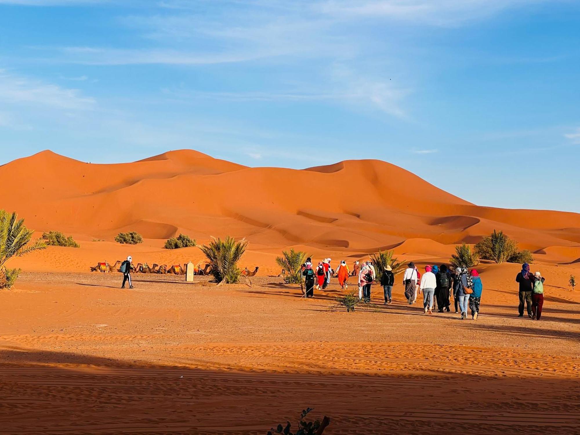Hotel Camping Les Roses Des Dunes & Piscine 梅尔祖卡 外观 照片
