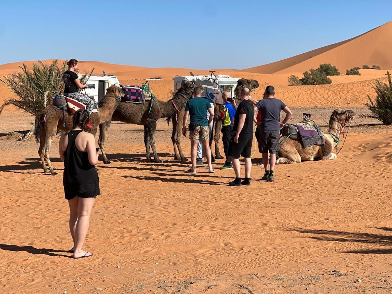 Hotel Camping Les Roses Des Dunes & Piscine 梅尔祖卡 外观 照片